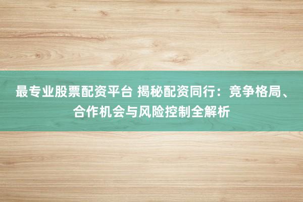 最专业股票配资平台 揭秘配资同行:竞争格局、合作机会与风险控制全解析