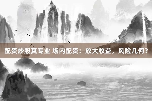 配资炒股真专业 场内配资：放大收益，风险几何？