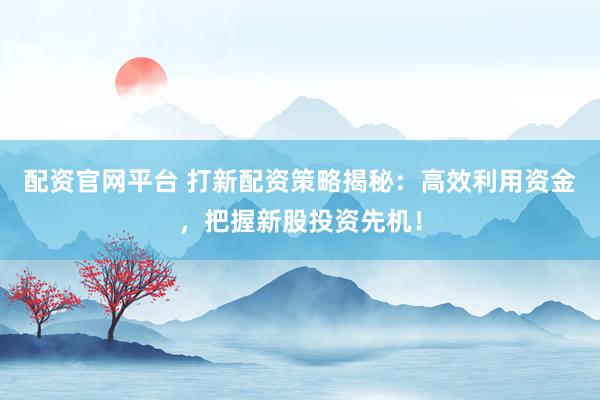 配资官网平台 打新配资策略揭秘:高效利用资金,把握新股投资先机!