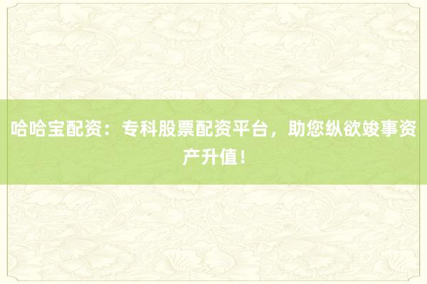 哈哈宝配资：专科股票配资平台，助您纵欲竣事资产升值！