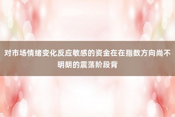 对市场情绪变化反应敏感的资金在在指数方向尚不明朗的震荡阶段背