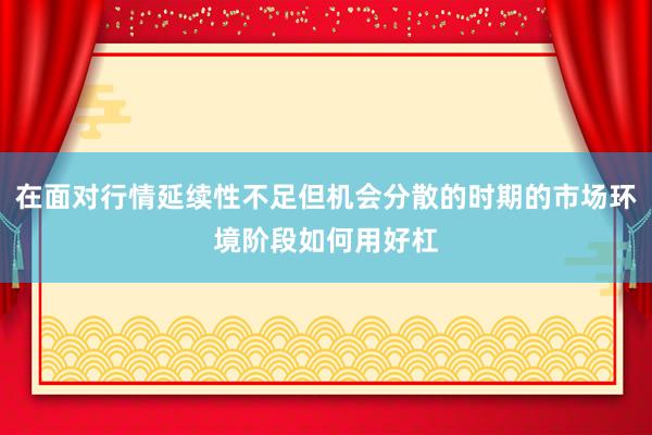 在面对行情延续性不足但机会分散的时期的市场环境阶段如何用好杠