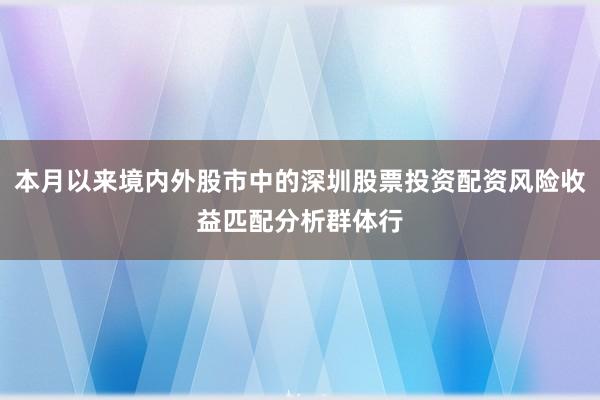本月以来境内外股市中的深圳股票投资配资风险收益匹配分析群体行