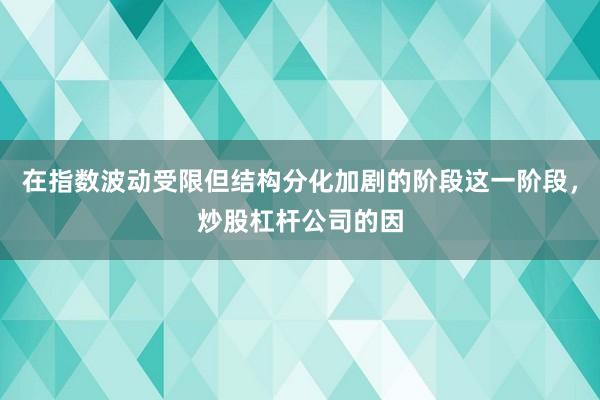 在指数波动受限但结构分化加剧的阶段这一阶段，炒股杠杆公司的因