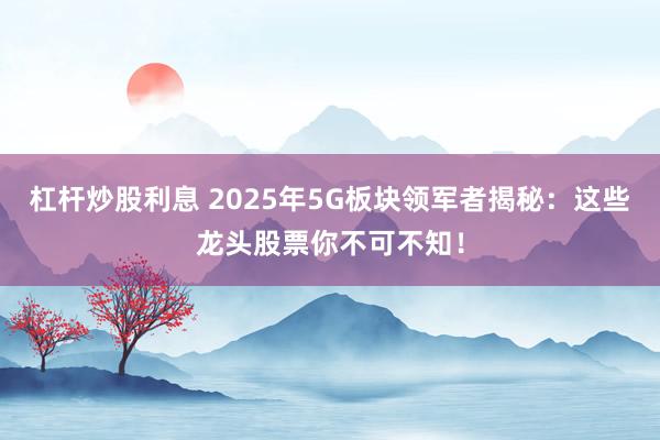 杠杆炒股利息 2025年5G板块领军者揭秘：这些龙头股票你不可不知！