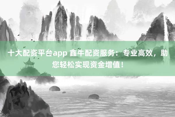 十大配资平台app 鑫牛配资服务：专业高效，助您轻松实现资金增值！